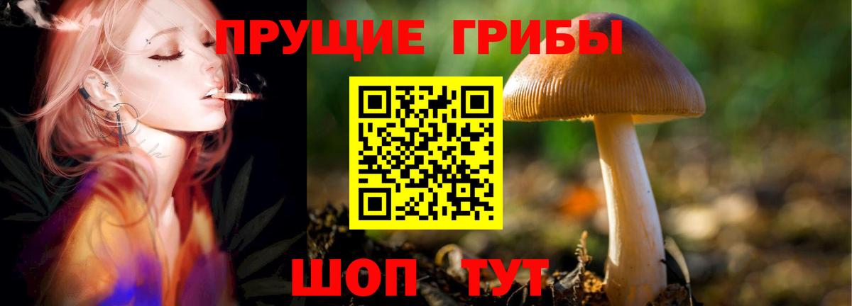 Галлюциногенные грибы Magic Shrooms Коркино